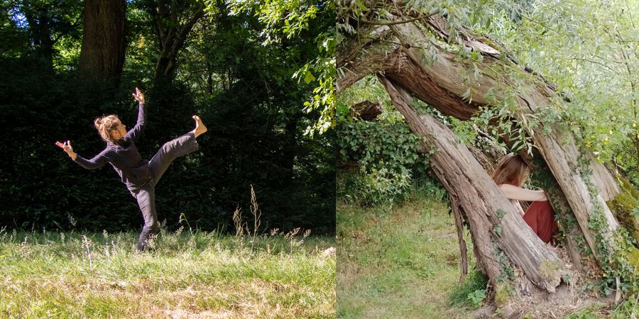 image - Stage danse contemporaine 