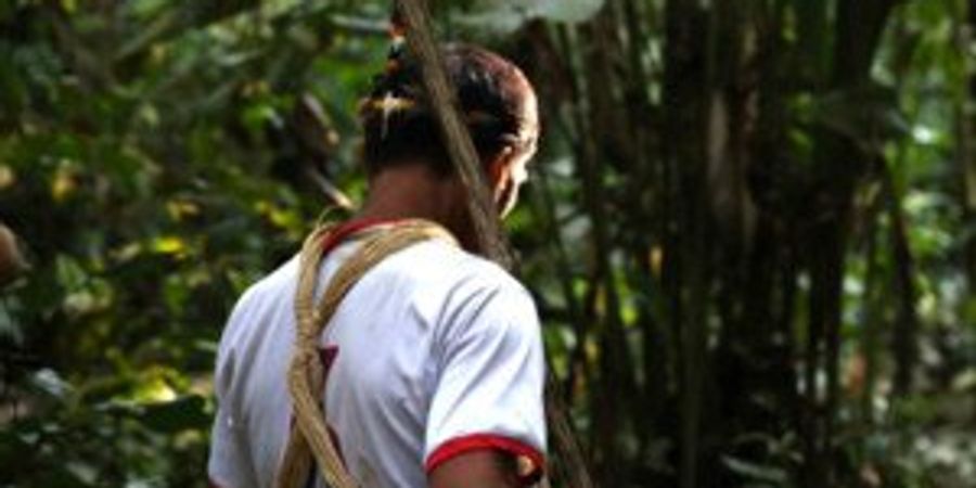 image - Waorani • à l'orée d'un nouveau monde