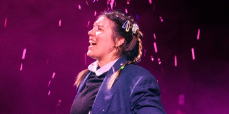 image - Les Bêtises de Violette