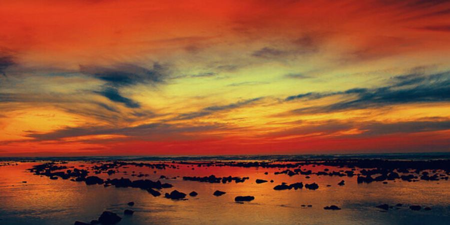 image - [Re]naissance (Salon d’Hiver)