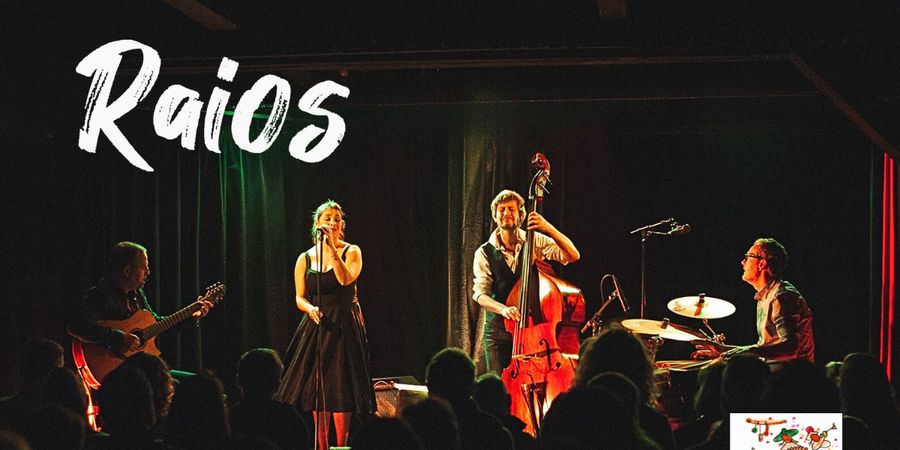 image - Concert de Raios