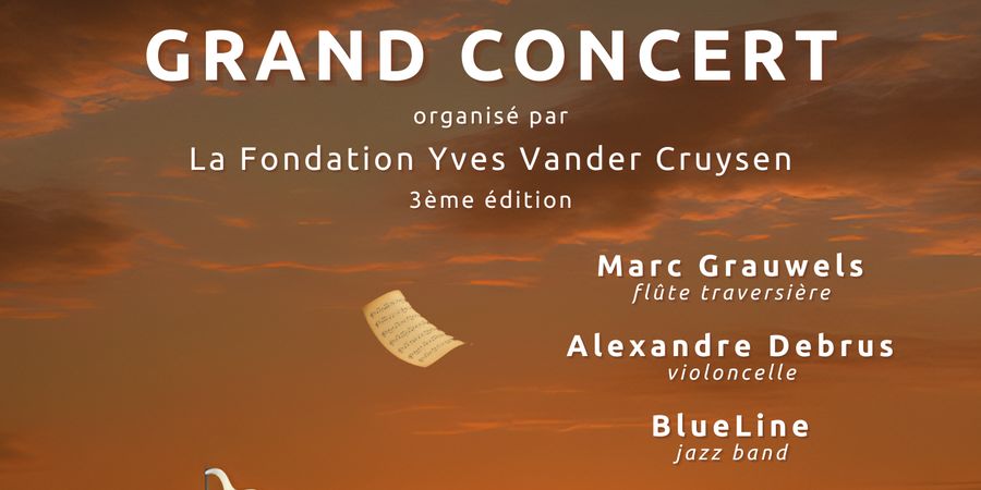 image - GRAND CONCERT organisé par la Fondation Yves Vander Cruysen