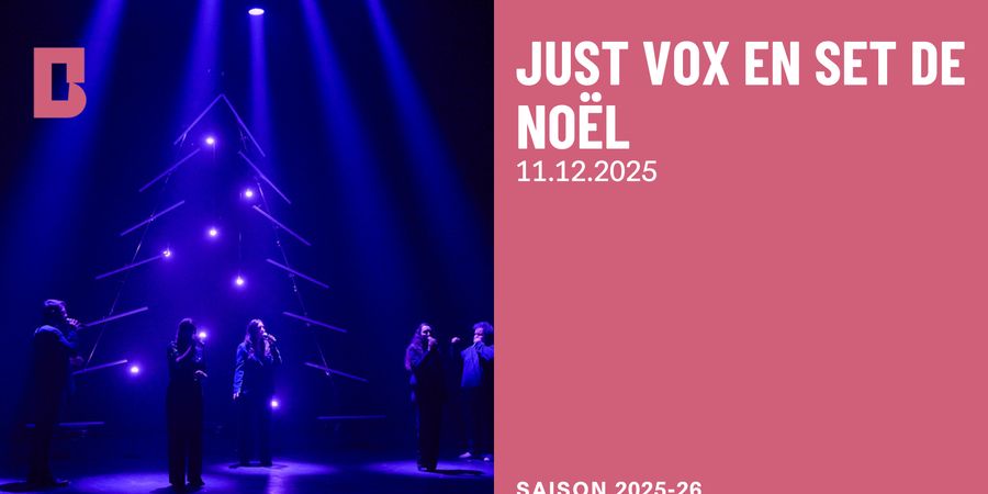 image - Just Vox en set de Noël