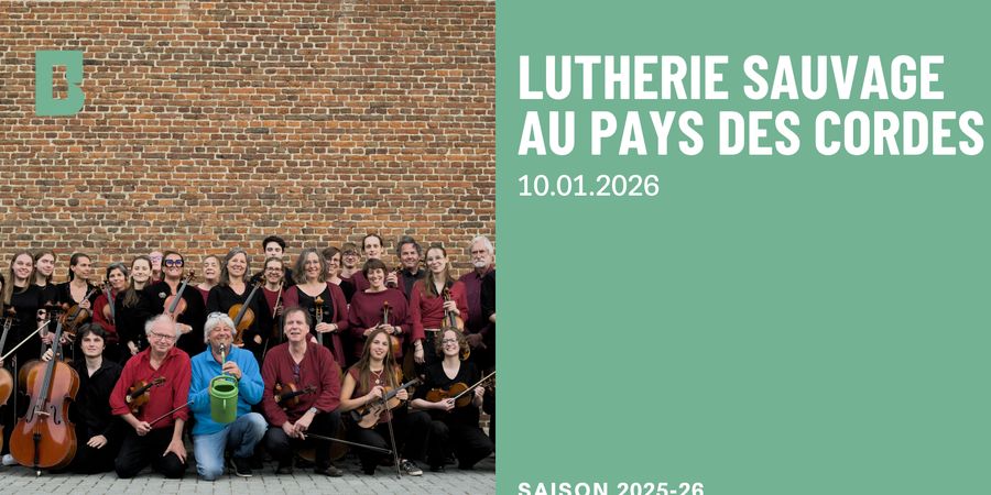 image - Lutherie sauvage au pays des cordes