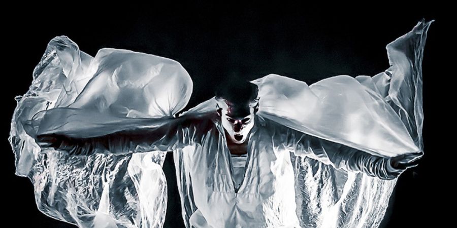 image - LE DELIRIUM DU PAPILLON