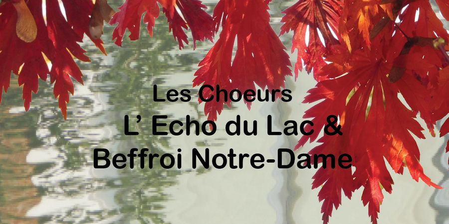 image - Concert de Noël 