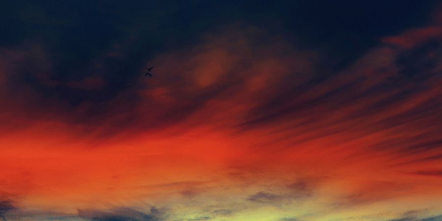 image - [Re]naissance (Salon d’Hiver)