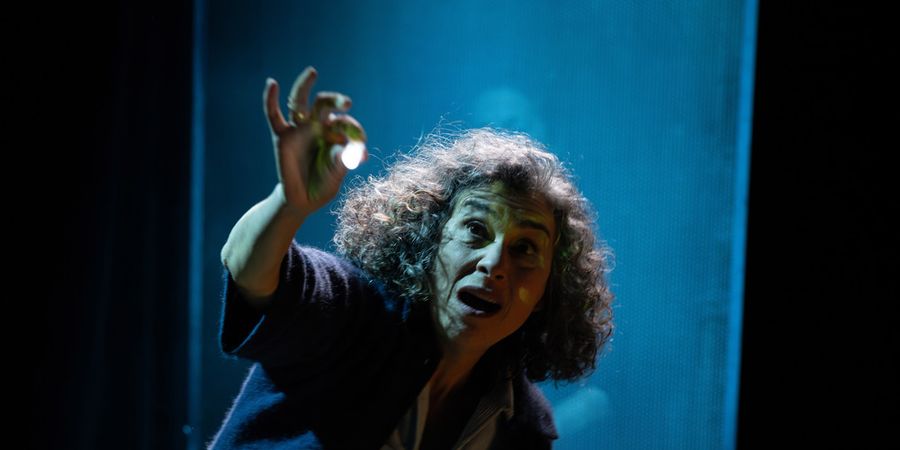 image - Je voudrais mourir par curiosité