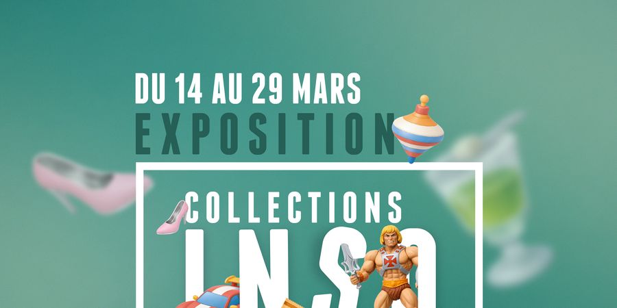 image - Les collections insolites 2026