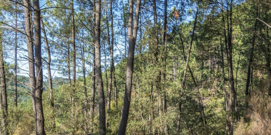 image - Les nuits d'encre | Balade contée à Louvain-la-Neuve