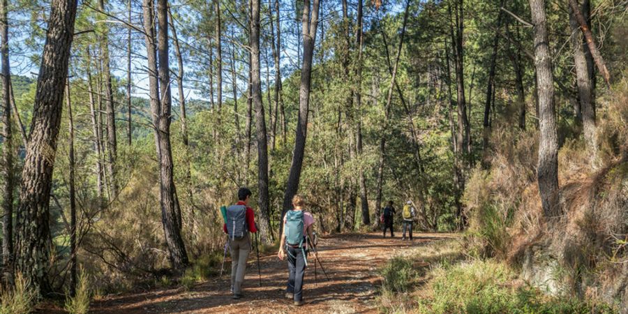 image - Les nuits d'encre | Balade contée à Limelette