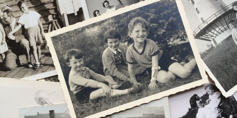 image - Les nuits d'encre | Auprès de mon arbre à Rixensart